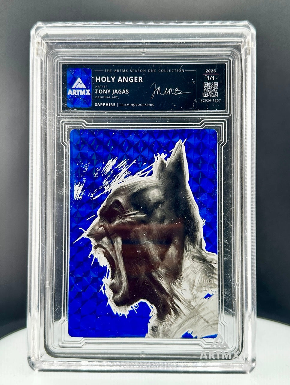 Holy Anger by Tony Jagas