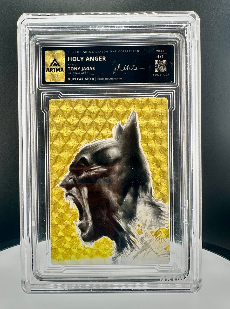 Holy Anger by Tony Jagas