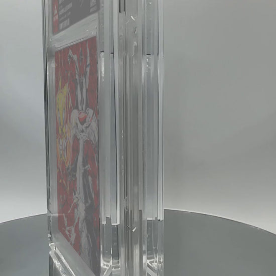 ABSTRACT SYLVESTER & TWEETY by Gabriele Serrini (Ruby / Vaulted) — slab turntable video