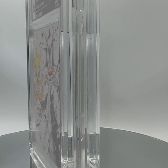 ABSTRACT SYLVESTER & TWEETY by Gabriele Serrini (Velvet Fine Art / Vaulted) — slab turntable video