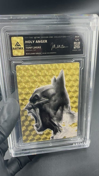 Holy Anger by Tony Jagas